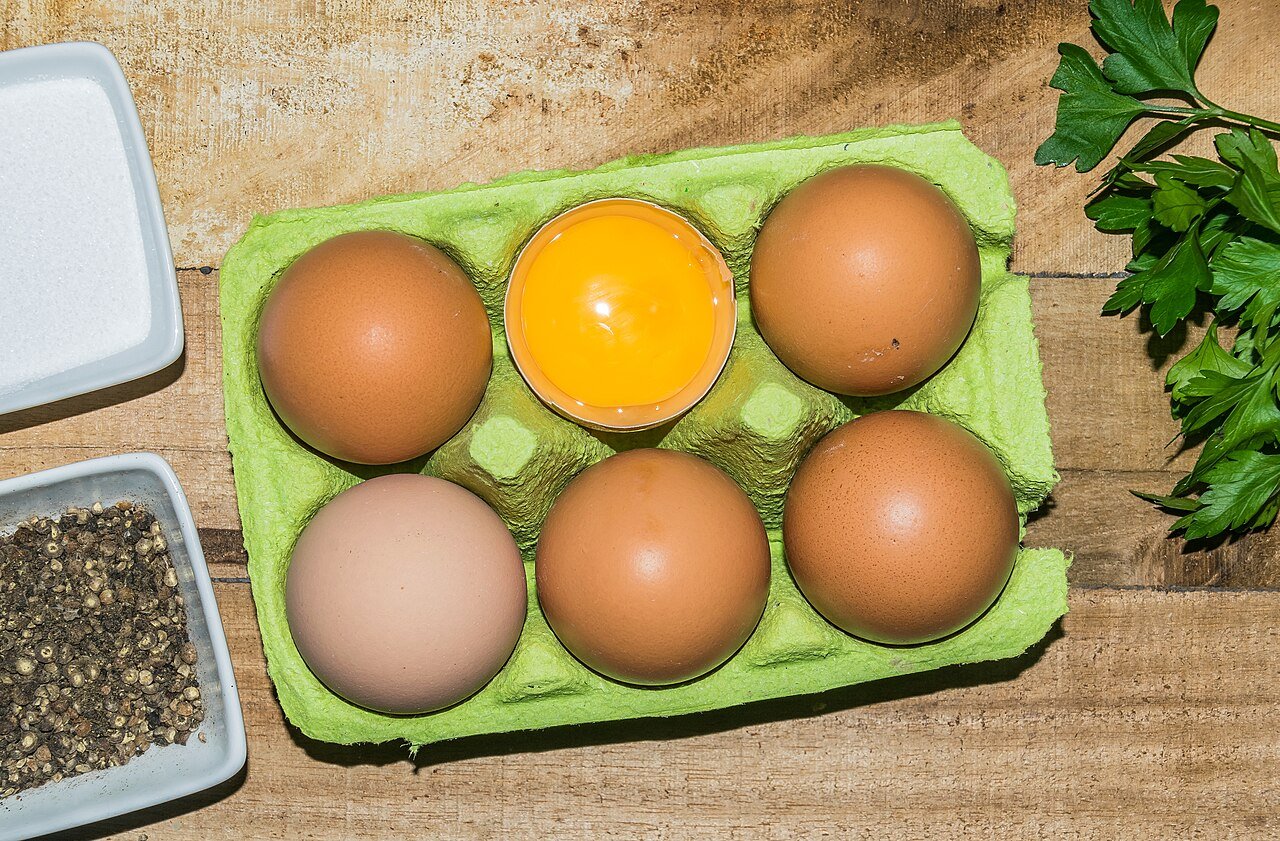 Cartones con huevos de gallina